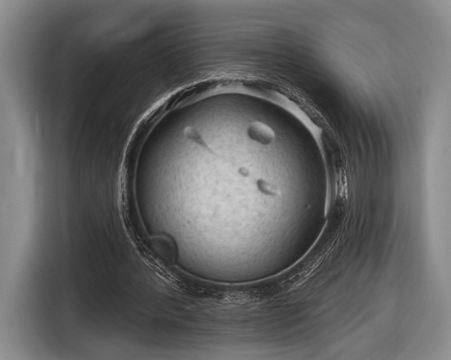 X0000116610388200912181210