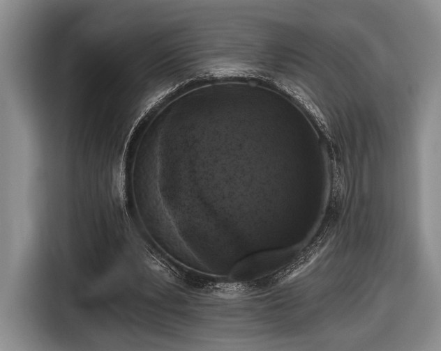 X0000116610391200912181210