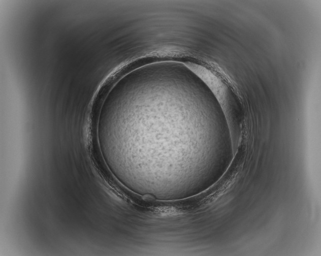 X0000116610392200912181210