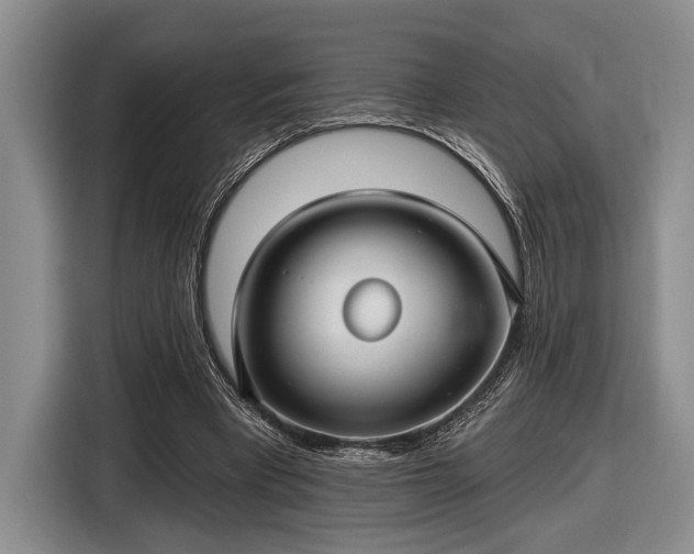 X0000116610393200912181210