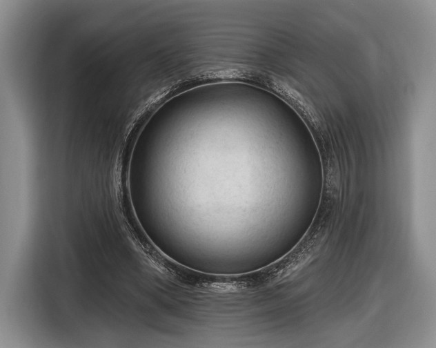 X0000116610394200912181210