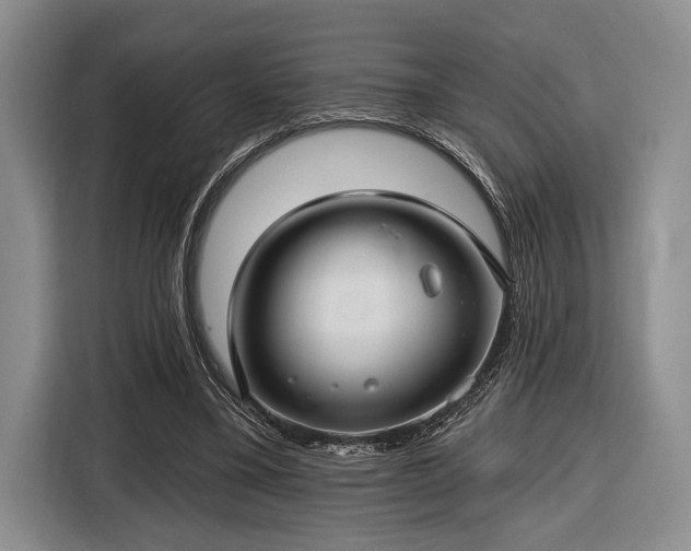 X0000116610395200912181210