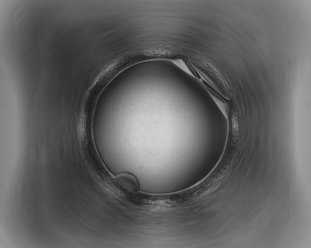 X0000116610396200912181210