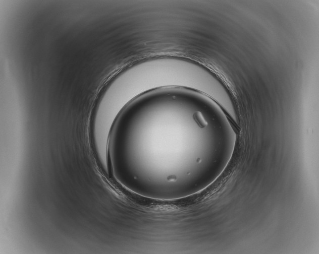 X0000116610397200912181210