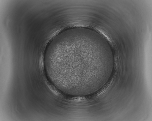 X0000116610398200912181210