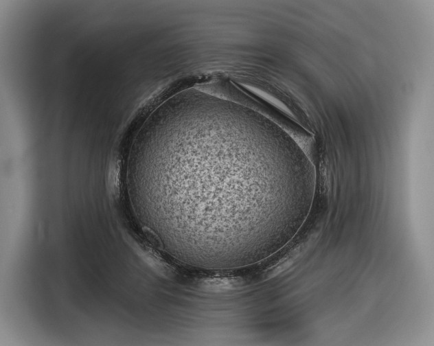 X0000116610404200912181210