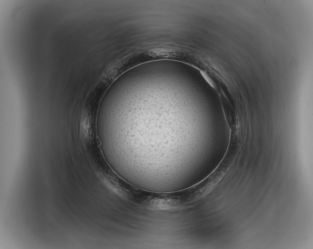 X0000116610408200912181210