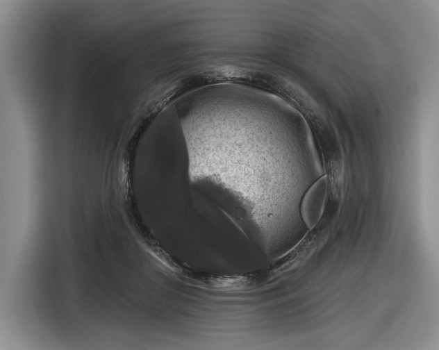 X0000116610410200912181210