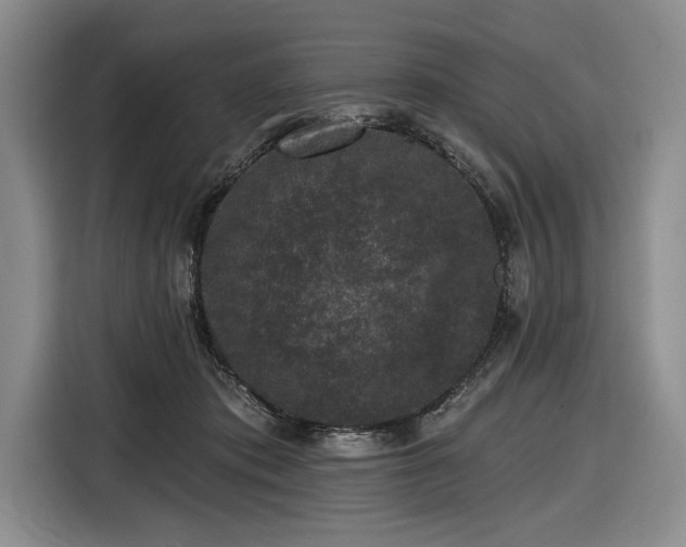 X0000116610413200912181210