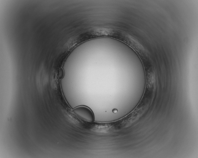 X0000116610414200912181210