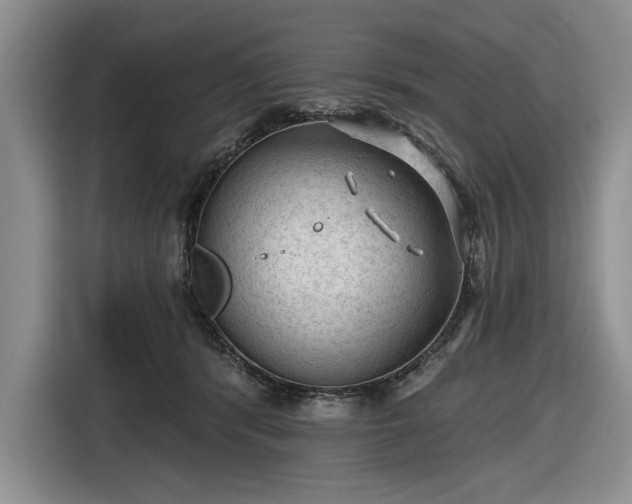 X0000116610416200912181210