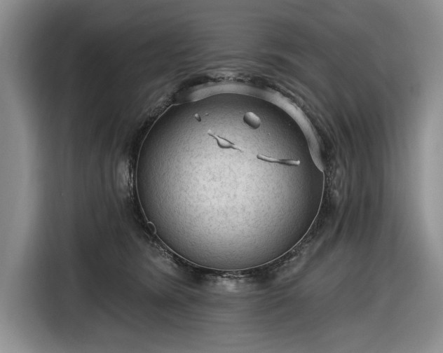 X0000116610420200912181210