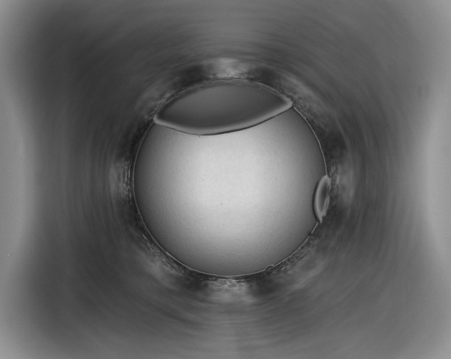 X0000116610421200912181210