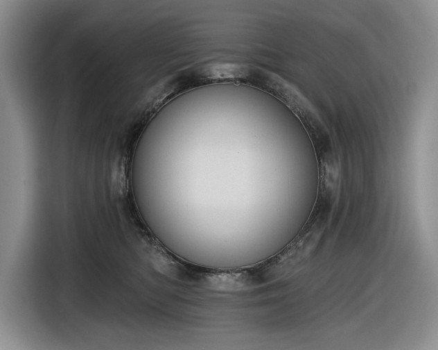 X0000116610422200912181210