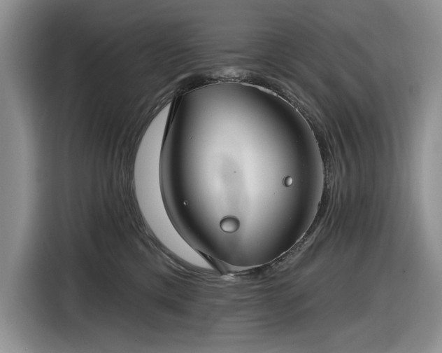 X0000116610425200912181210