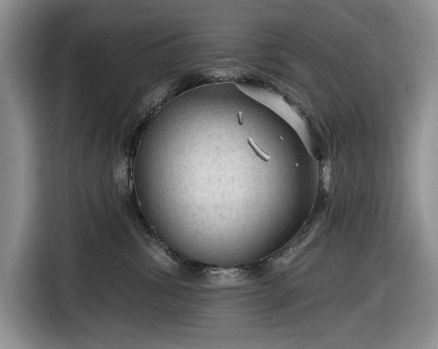 X0000116610428200912181210