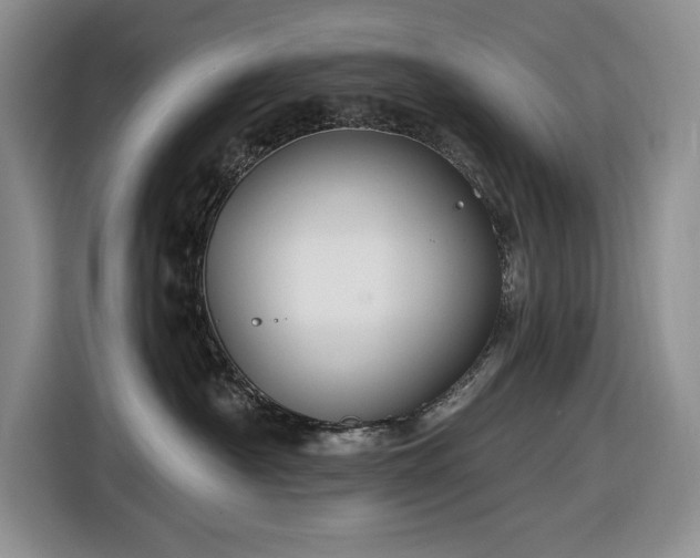 X0000116610430200912181210