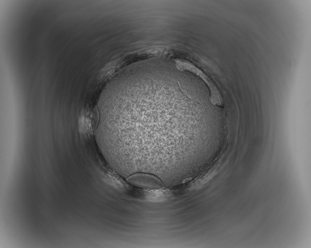 X0000116610432200912181210