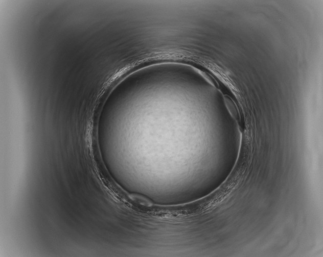 X0000116610434200912181209