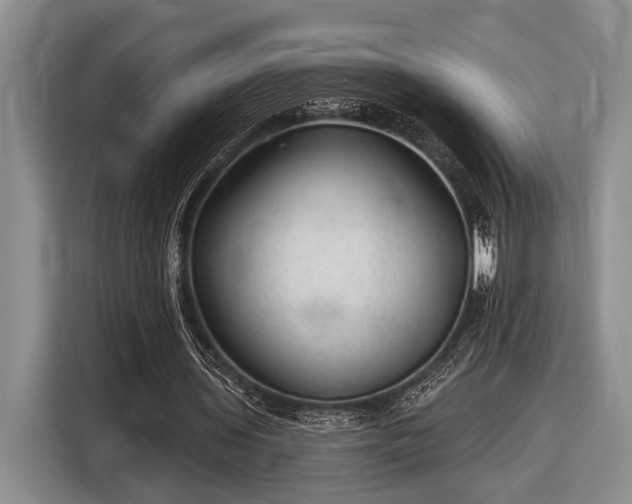 X0000116610435200912181209