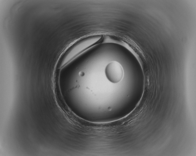 X0000116610436200912181209