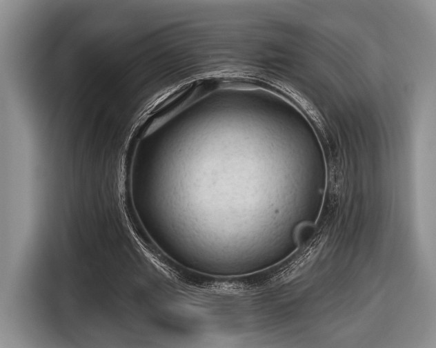 X0000116610437200912181209