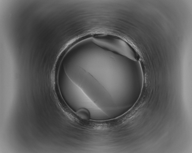 X0000116610438200912181209