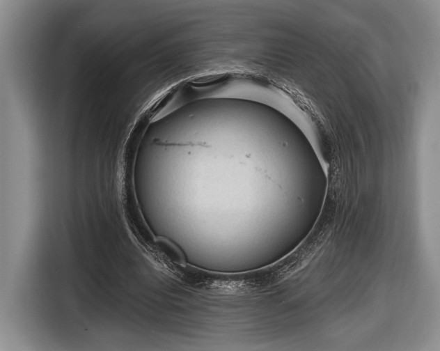 X0000116610440200912181209