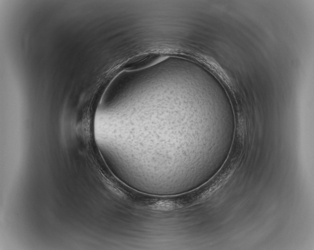 X0000116610441200912181209