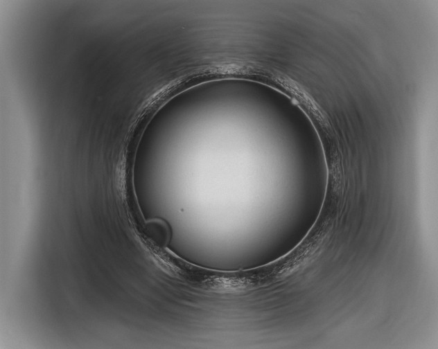 X0000116610442200912181209