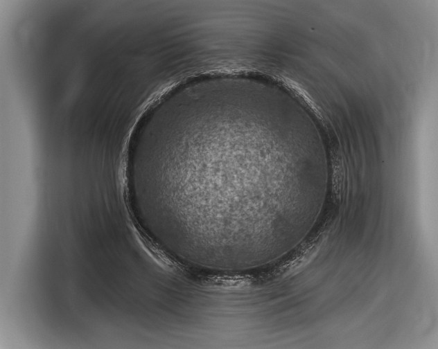 X0000116610443200912181209