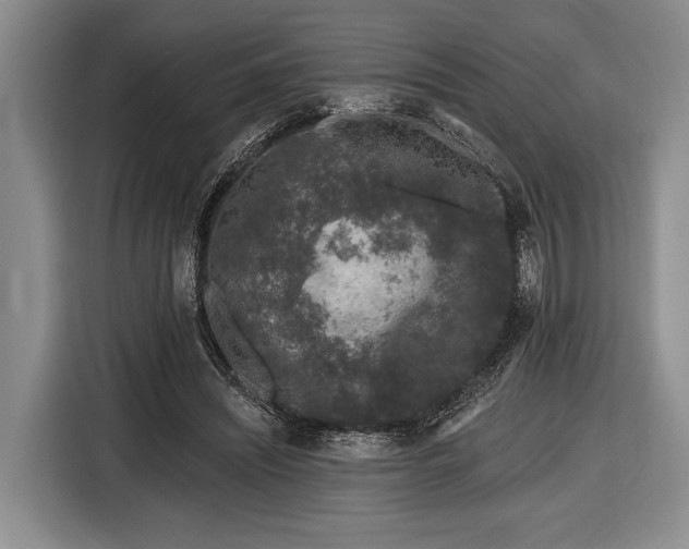 X0000116610444200912181209