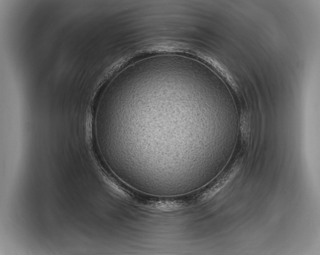 X0000116610445200912181209