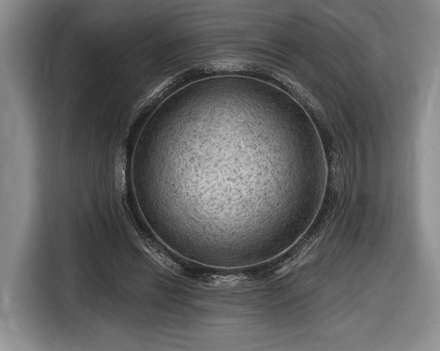 X0000116610446200912181209