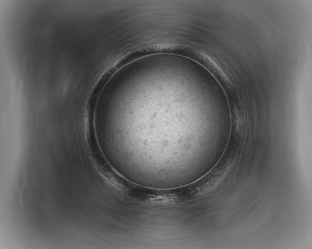 X0000116610447200912181209