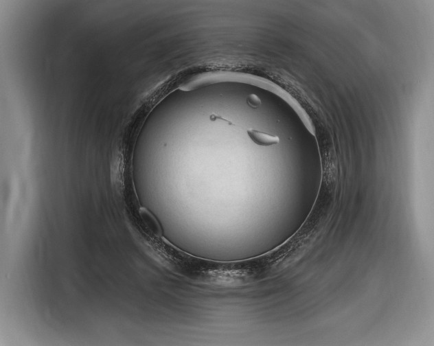 X0000116610448200912181209