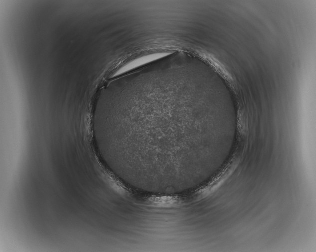 X0000116610449200912181209