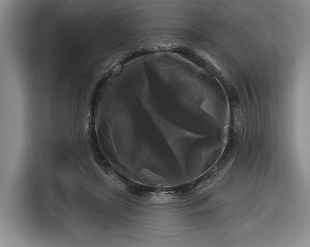 X0000116610451200912181209