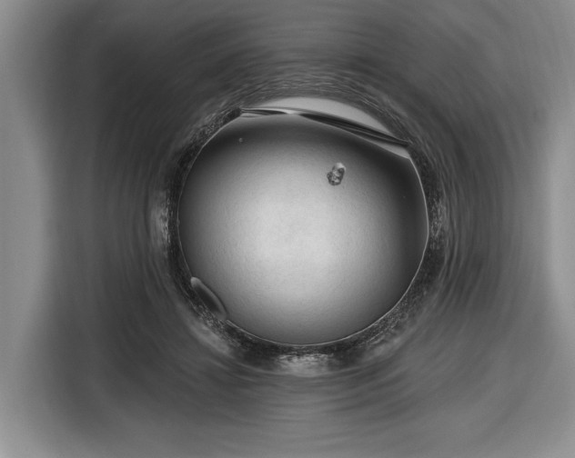 X0000116610452200912181209