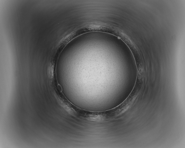 X0000116610454200912181209