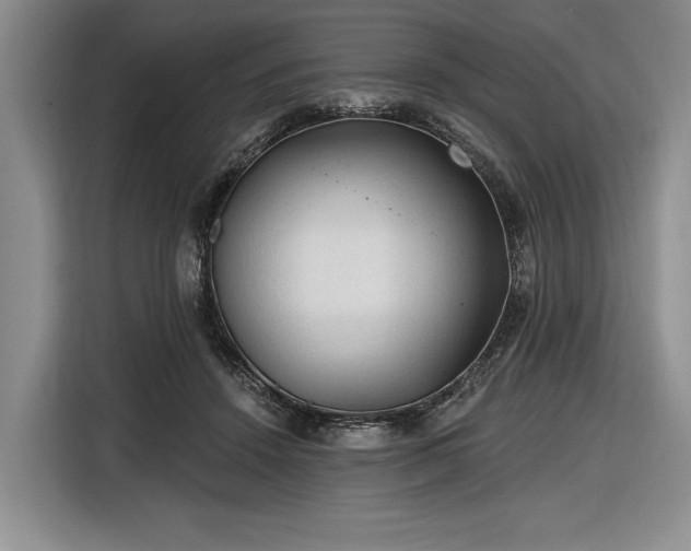 X0000116610456200912181209