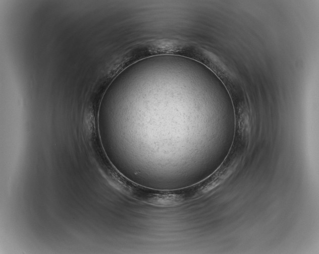 X0000116610459200912181210