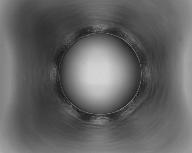 X0000116610463200912181210