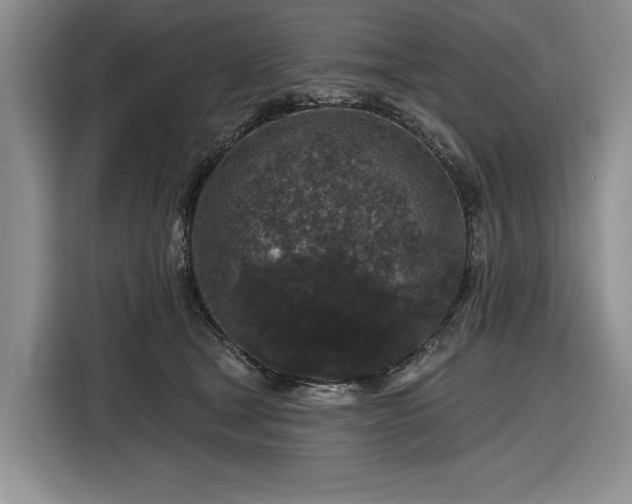 X0000116610465200912181210