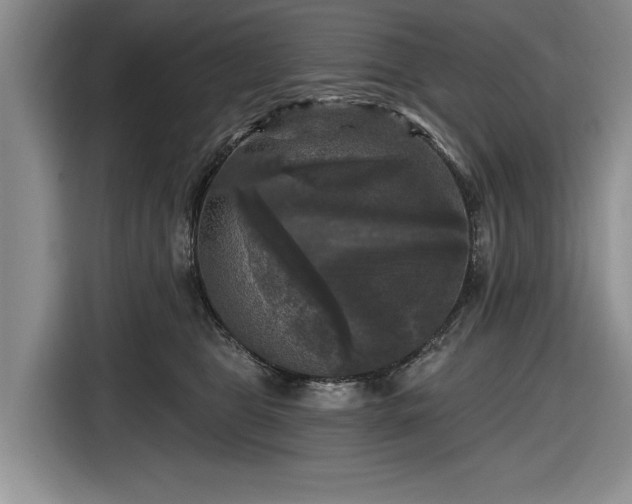 X0000116610469200912181210