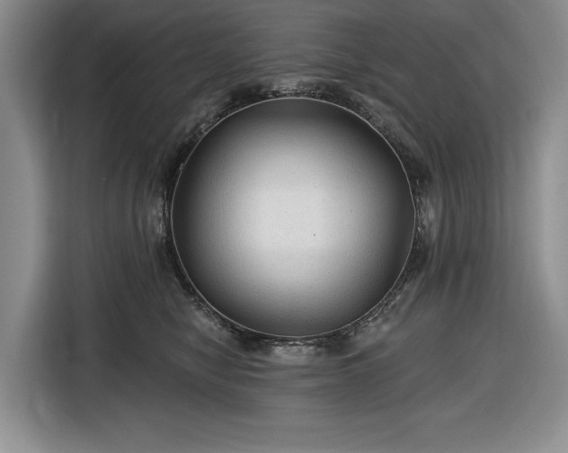 X0000116610470200912181210