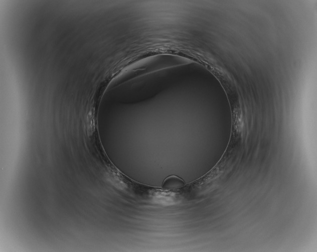 X0000116610471200912181210