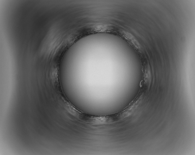 X0000116610473200912181210