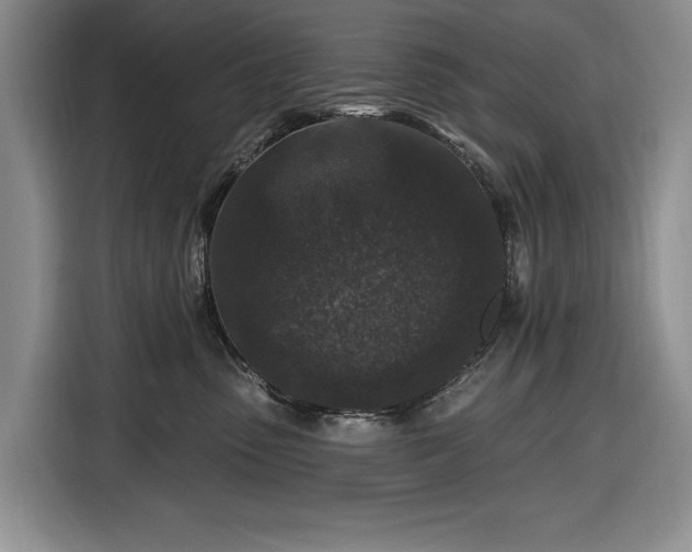 X0000116610475200912181210