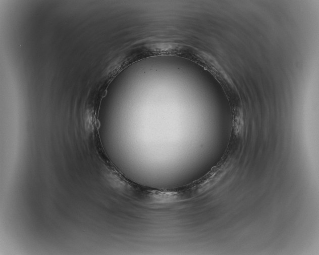 X0000116610476200912181210